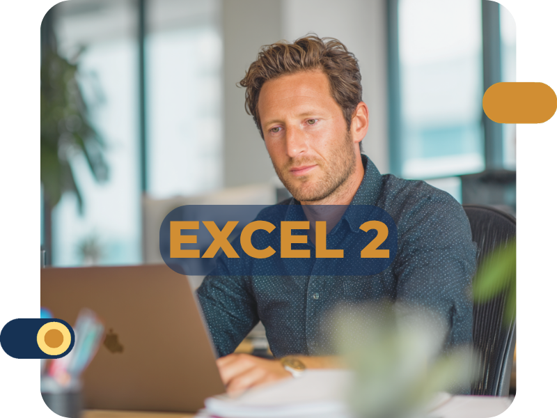 Excel 2.1 : tableaux croisés dynamiques et graphiques